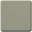 Pacific Gray